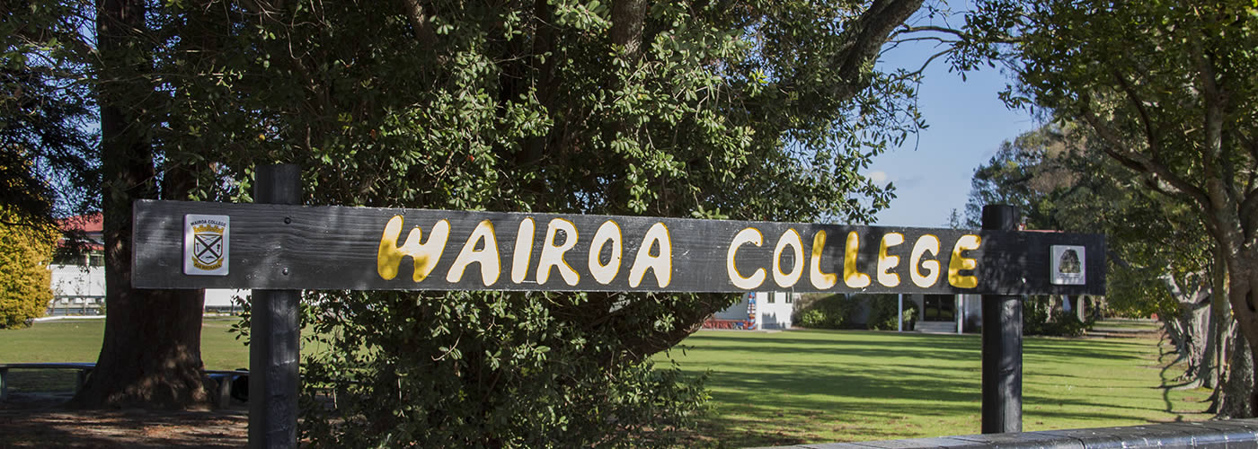 Schools Wairoa District Council