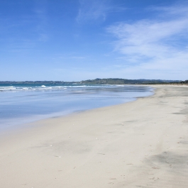Mahanga - Long stretch of white beach at Mahanga