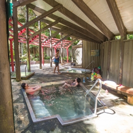 Morere Hot springs - Visitors enjoying a soak at Morere Hot springs