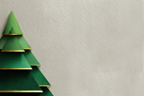 Wairoa District Council Office Closures and Refuse and Recycling