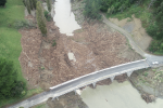 Mayor Little welcomes forestry inquiry