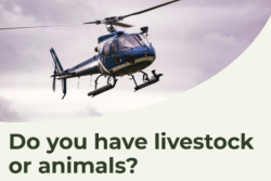 Low flying helicopter surveying power poles and lines