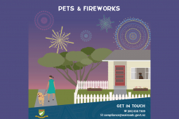 Animal Control Pets and Fireworks 01 web002