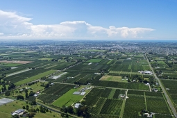 Heretaunga Plains