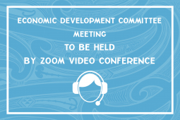 Infographic ZOOM Economic Dev Comm