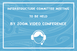Infographic ZOOM INFRAstructure Committee
