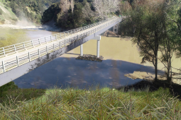 Te Reinga Bridge Rendering