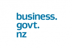 business govt nz