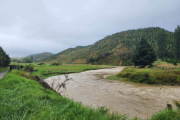 kopuawhara river