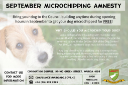 microchip amnesty