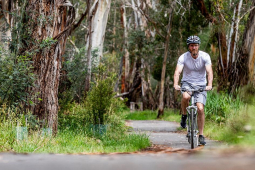 shared paths cycling