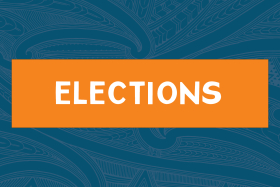 Enrol, stand and vote