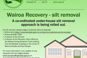 Co-ordinated silt removal approach