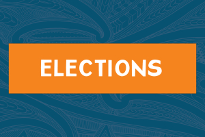Enrol, stand and vote