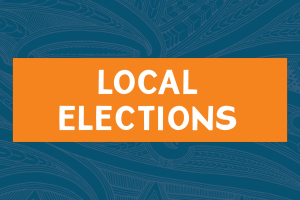 Local Council elections