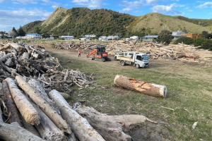 Woody debris mission