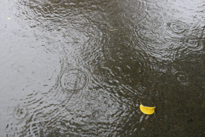 Heavy rain impacts 