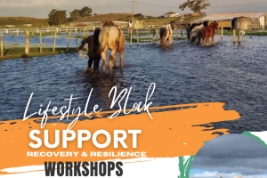 Lifestyle block support