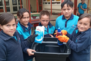 Clean-up Wairoa