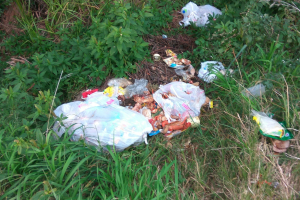 Community support needed to keep the district tidy