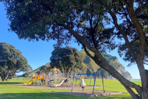 A swinging success 