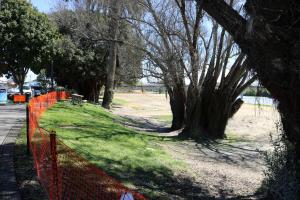 Riverbank reserve regrassing