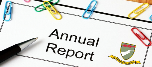 AnnualReport 1 copy