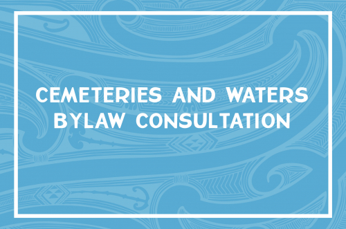 Bylaw consultation1