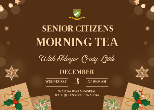 Mayoral Morning Tea Facebook Tile 2025