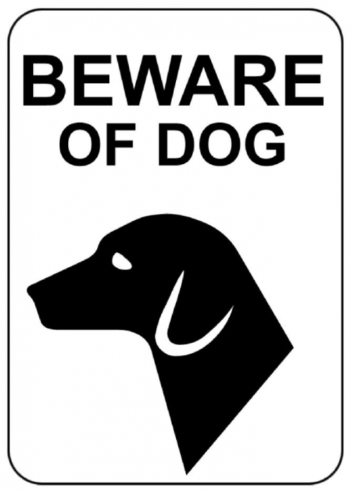 beware of dog web