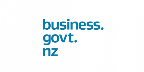 business govt nz