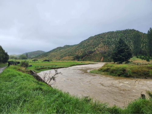 kopuawhara river