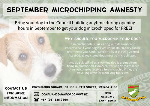 microchip amnesty