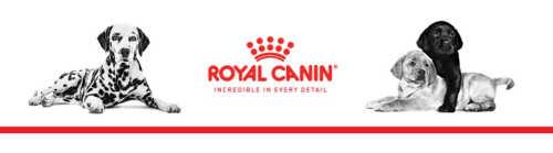 royalcanin