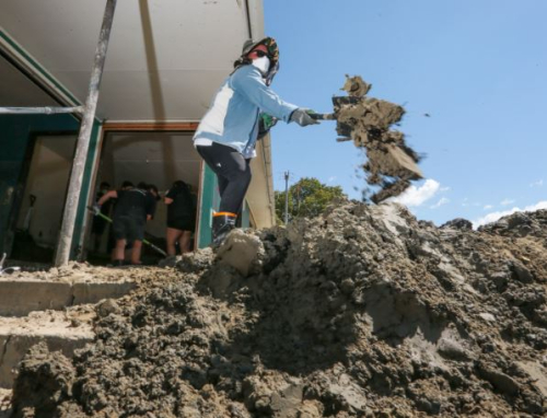 silt removal homeowner