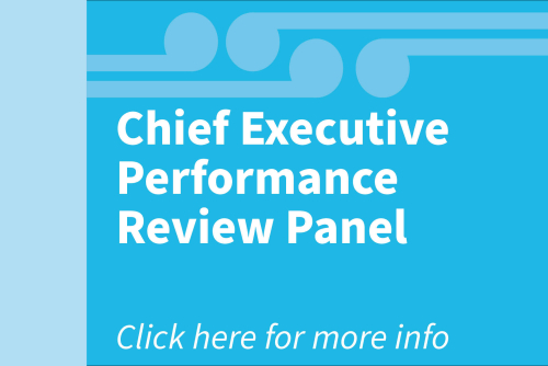 Chief Executive Performance Review Committee