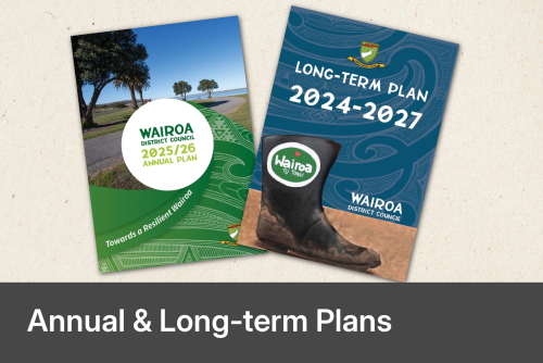 Annual & Long Term Plans