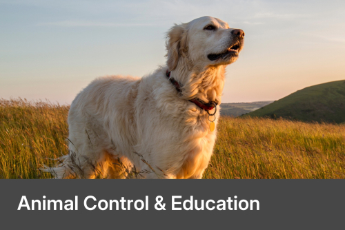 Animal Control & Education