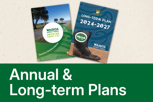 Annual & Long Term Plans
