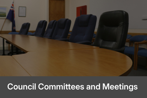 Council Meetings and Committees