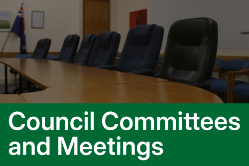 Council Meetings and Committees