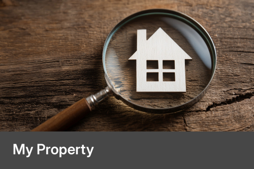 My Property