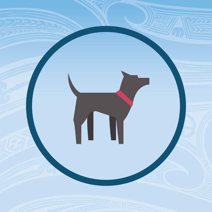 Animal Welfare
