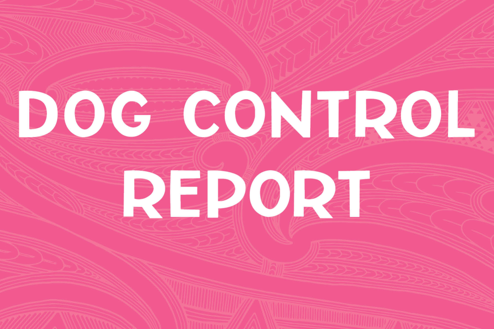 Dog Control Report