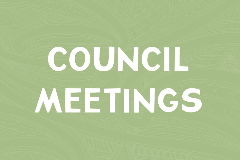 Wairoa District Council Meetings