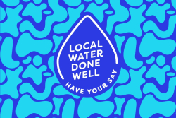 Share your thoughts on future waters delivery
