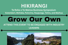 Hikirangi Wairoa