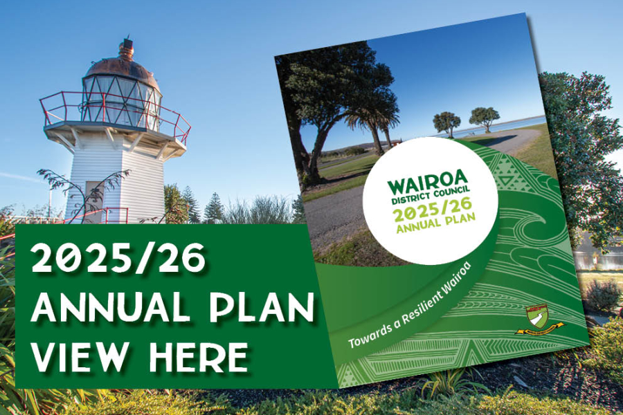 Annual Plan Banner