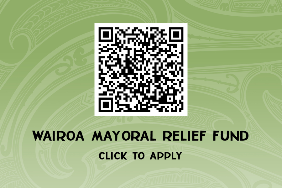 Mayoral Relief Fund