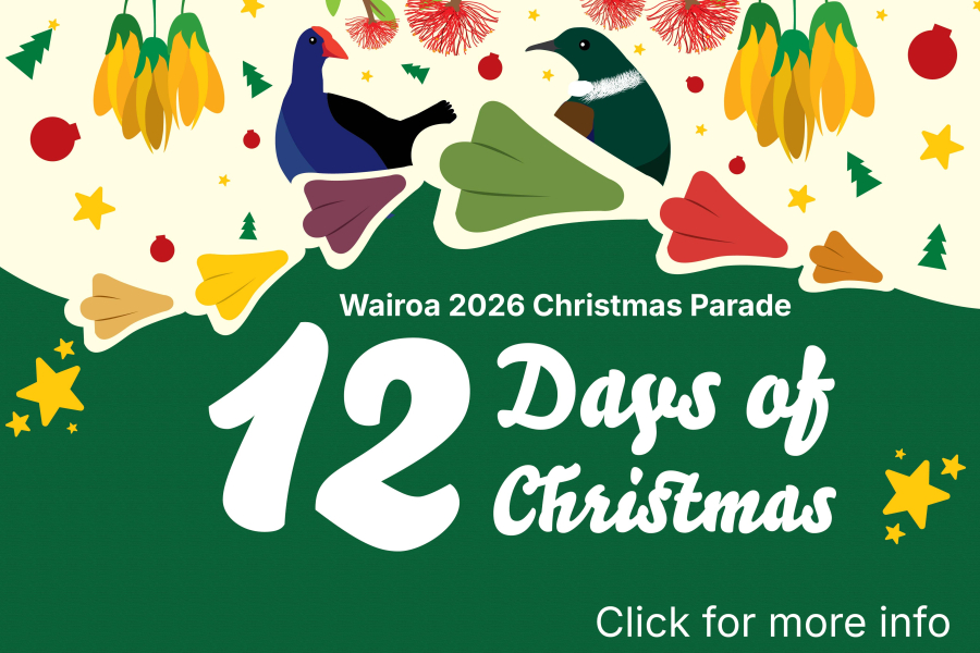 Wairoa Christmas Parade
